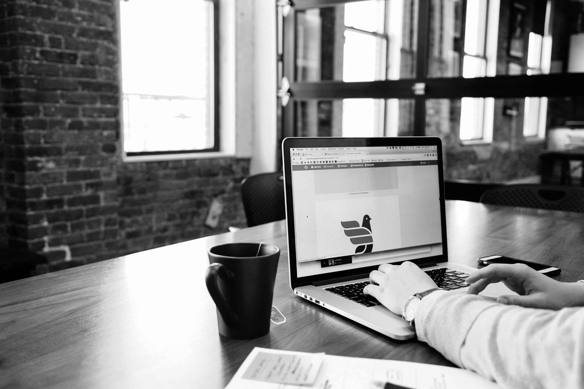 Who Are You, Froggies ?